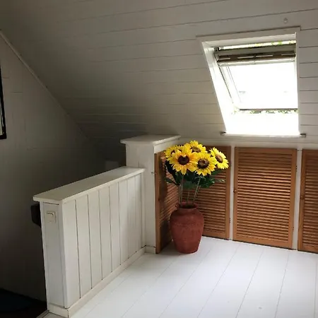 Daire Ferienwohnung-baltic-sun